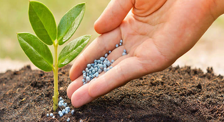 超實用!農(nóng)作物肥料進(jìn)口清關(guān)流程以及單證資料