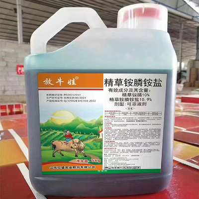 放牛娃的致富路 從牛糞到綠色財富的肥料轉型