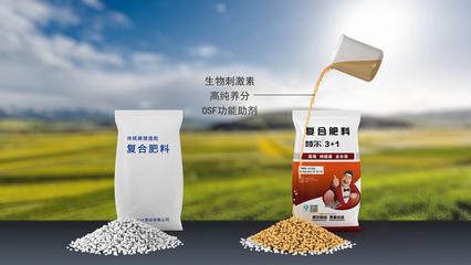 高效灌溉新革命 慧爾3+1全水溶復(fù)合肥，賦能現(xiàn)代農(nóng)業(yè)綠色未來